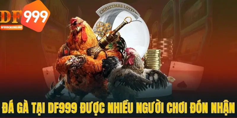 đá gà DF999