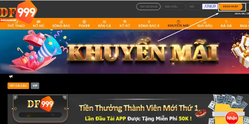 Có nhiều trường hợp người chơi không thể truy cập vào web DF999