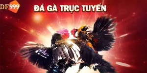 đá gà trực tuyến