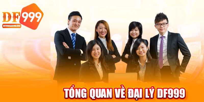 đại lý DF999